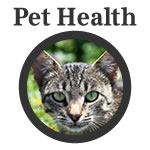 pet-health.jpg